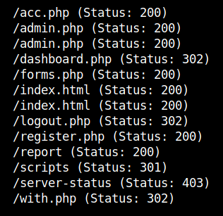 gobuster_results