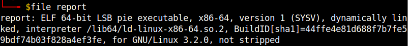 file_type