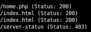 gobuster_results